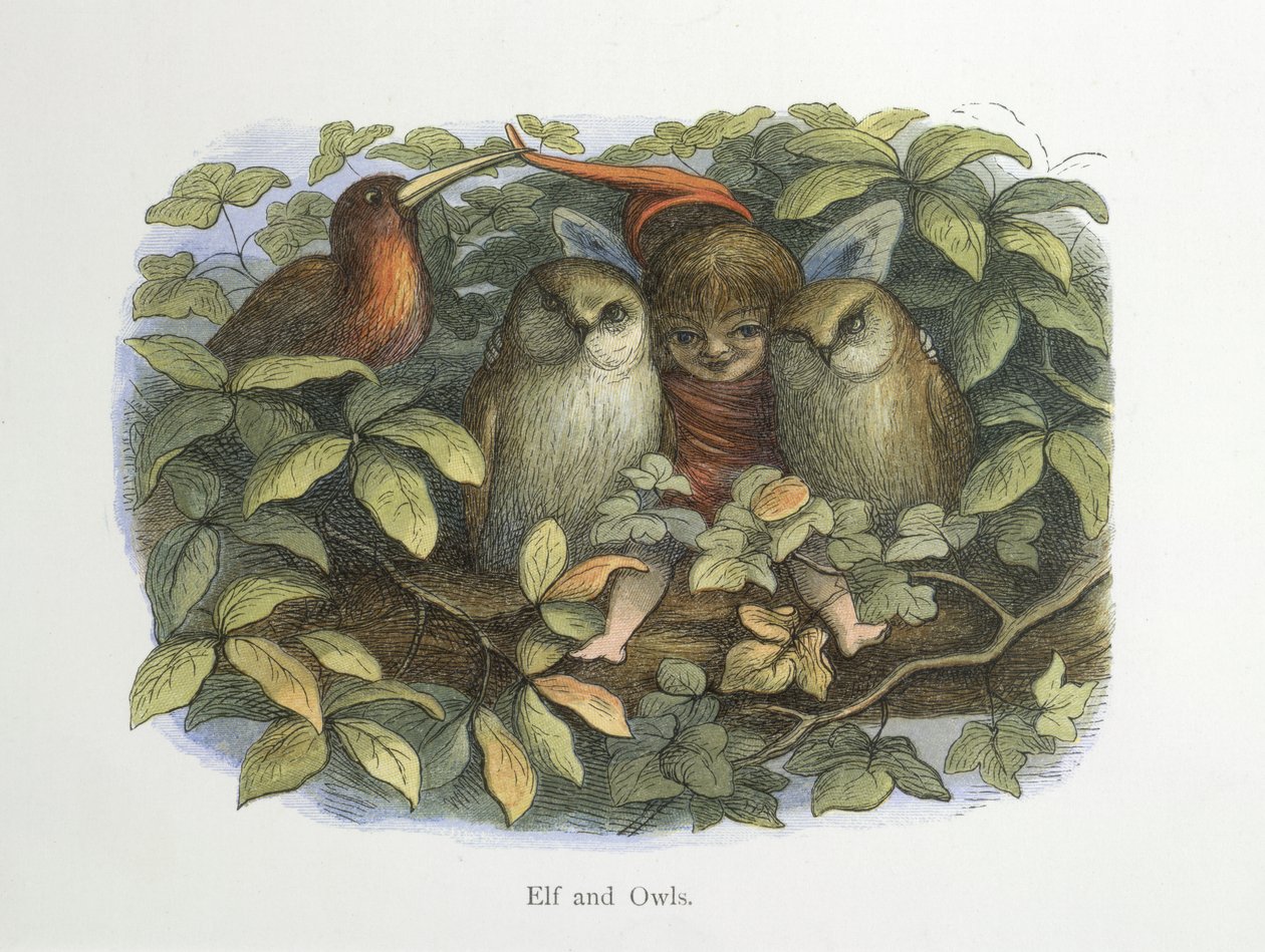 Elf en uilen door Richard Doyle