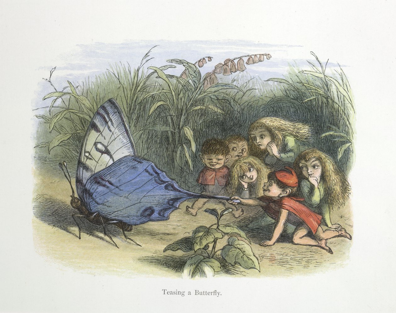 Een vlinder plagen door Richard Doyle