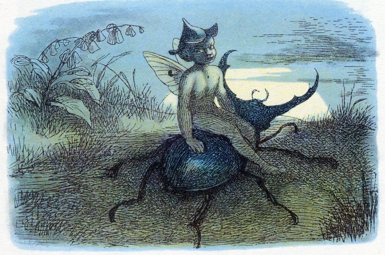 De boodschapper van de feeënkoningin, ca. 1870 door Richard Doyle