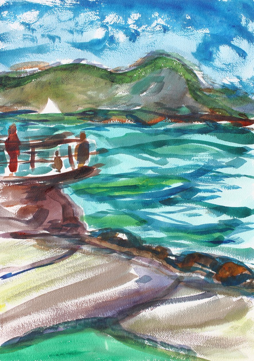 Olifantenrots, Tiburon, 2020 door Richard Fox