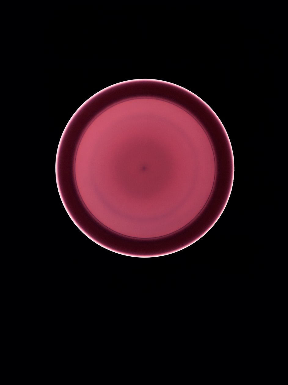 Zonder Titel, 2004 door Richard Green