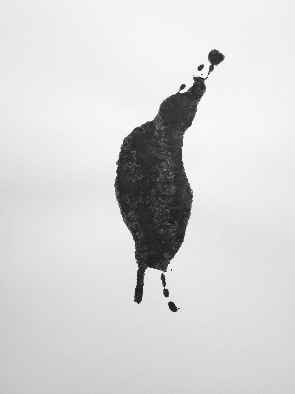 Zonder titel, 2009 (monotype) door Richard Green