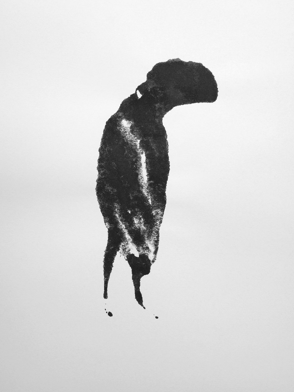 Zonder titel, 2009 (monotype) door Richard Green