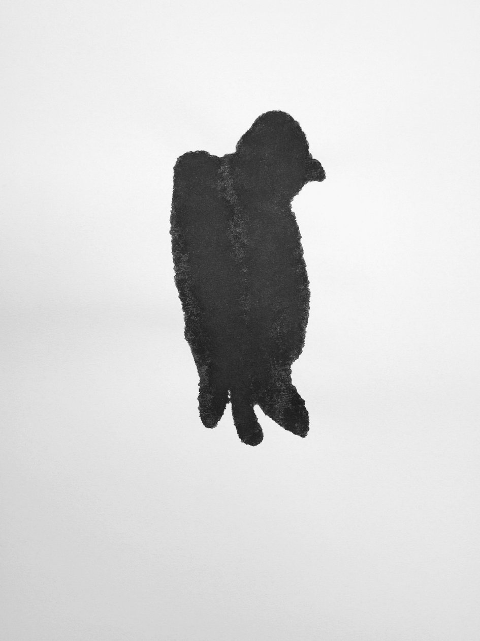 Zonder titel, 2009 (monotype) door Richard Green