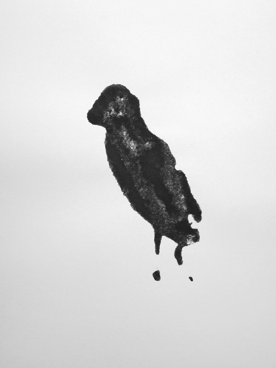 Zonder titel, 2009 (monotype) door Richard Green