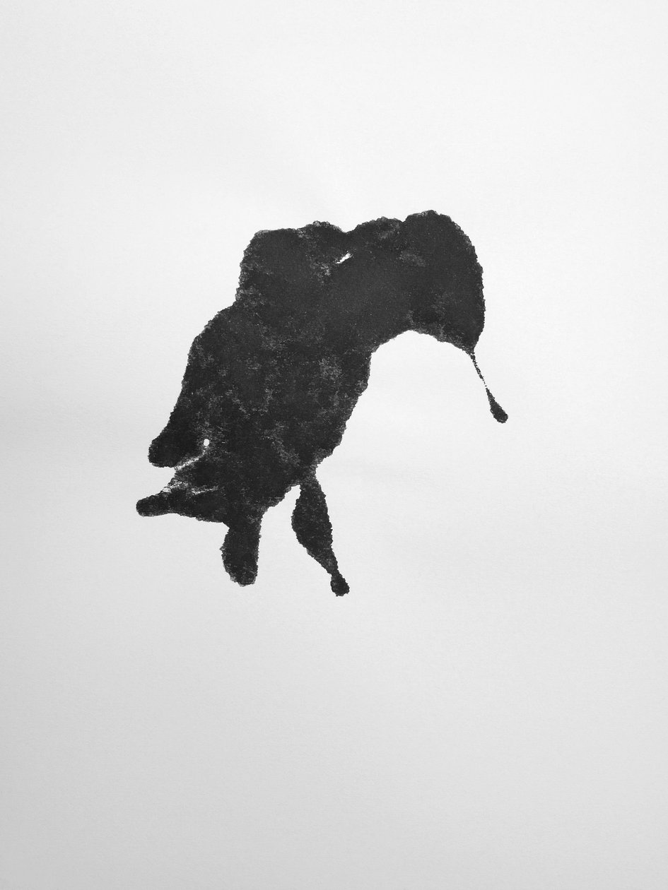 Zonder titel, 2009 (monotype) door Richard Green