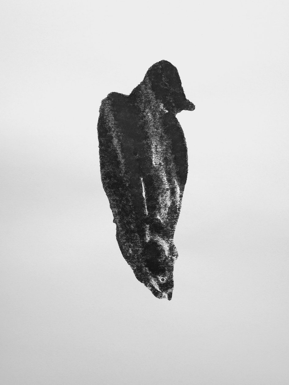 Zonder titel, 2009 (monotype) door Richard Green