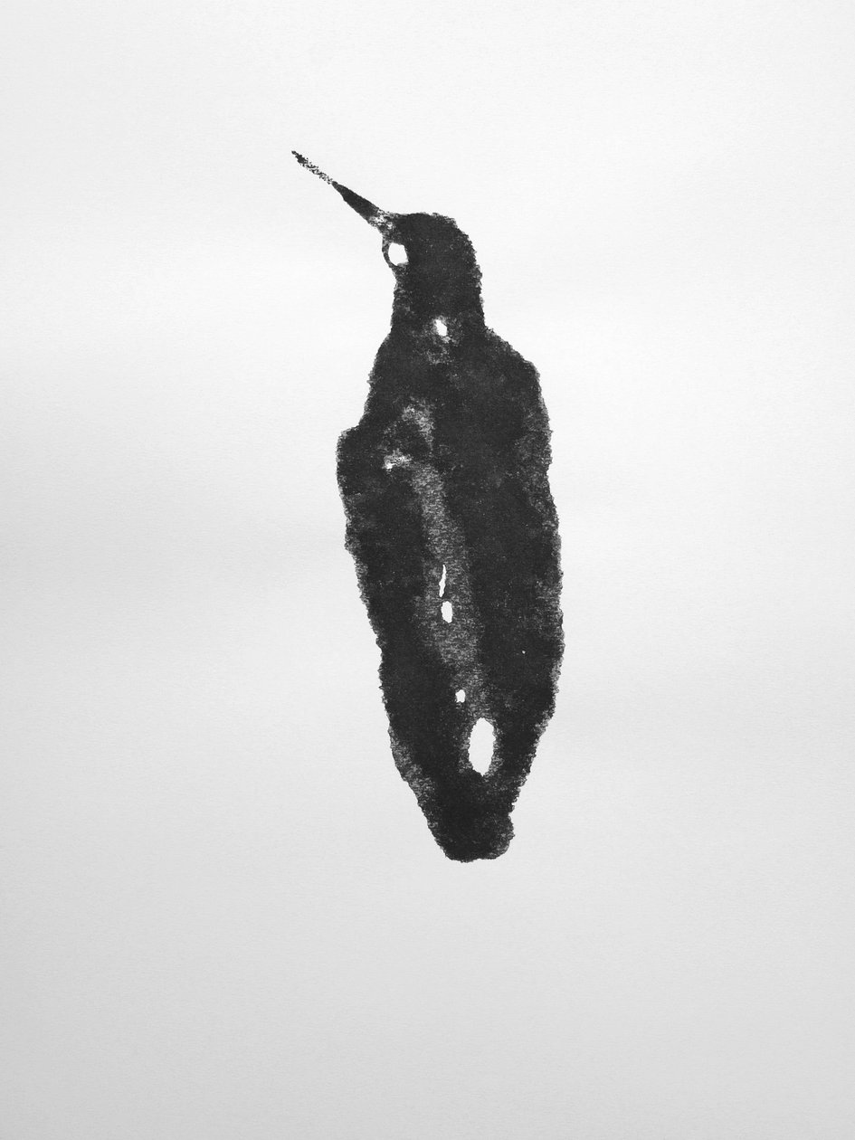 Zonder titel, 2009 (monotype) door Richard Green