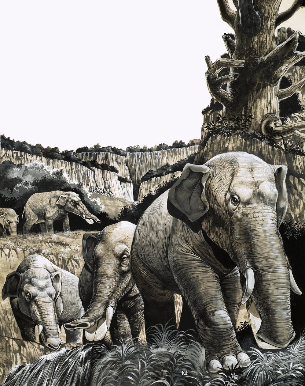 De vreemde Amebelodon door Richard Hook