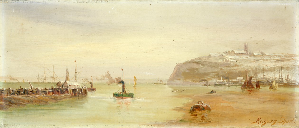 De vuurtoren buiten de haven van Cardiff door Richard Short