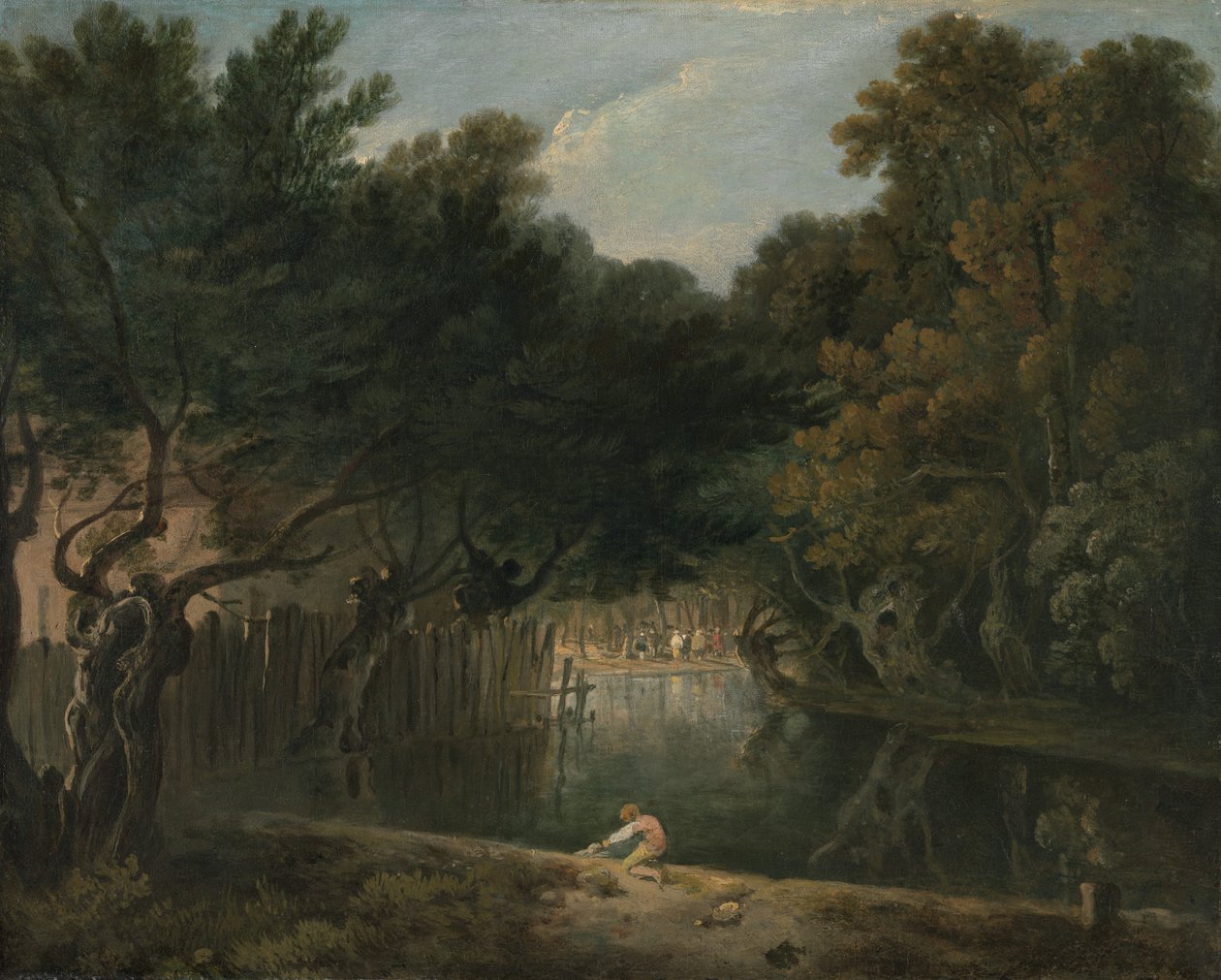 Uitzicht op de Wildernis in St. James