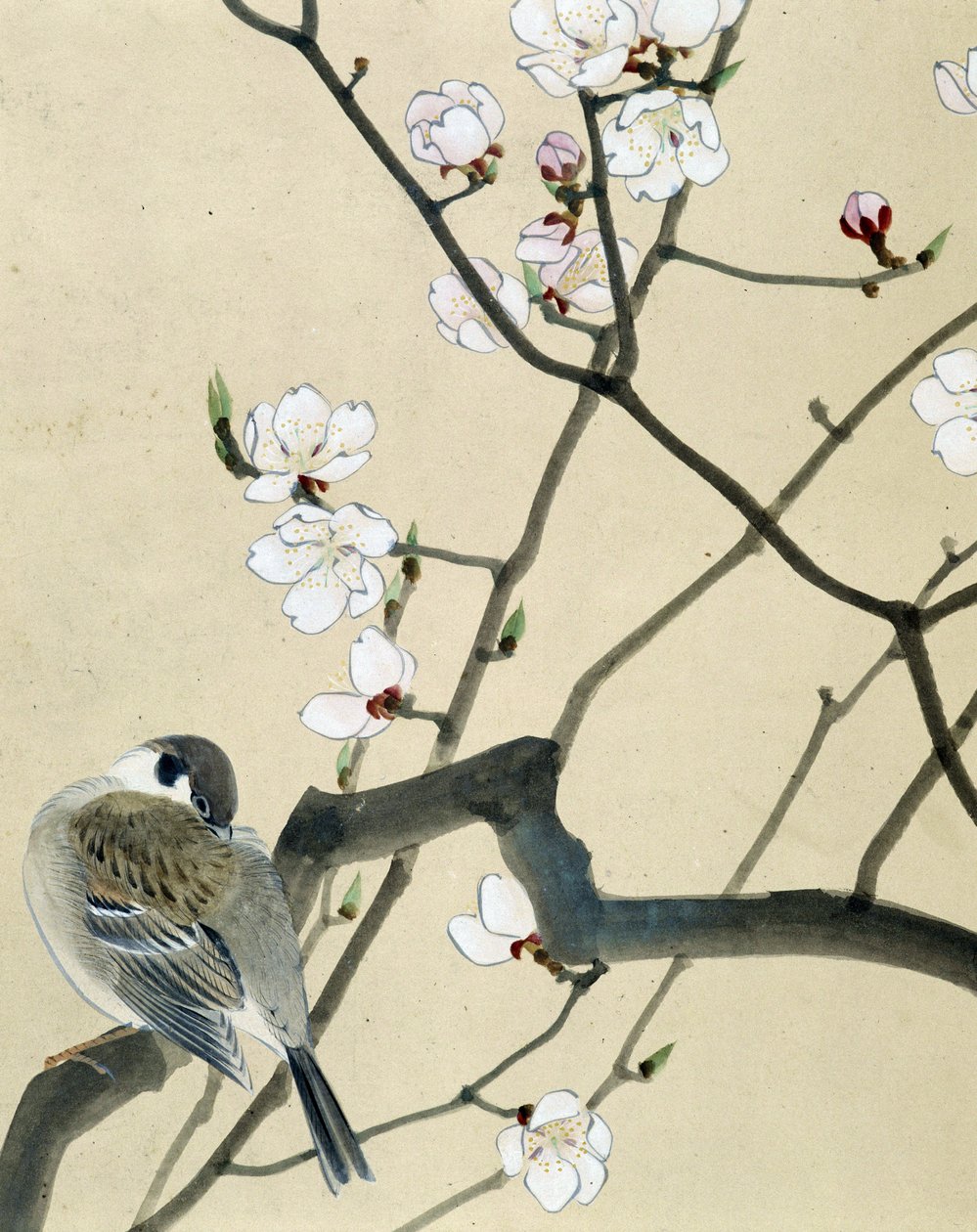 Vogel - Japanse tekening door Riou Chim, eind 19e eeuw door Riu Chim