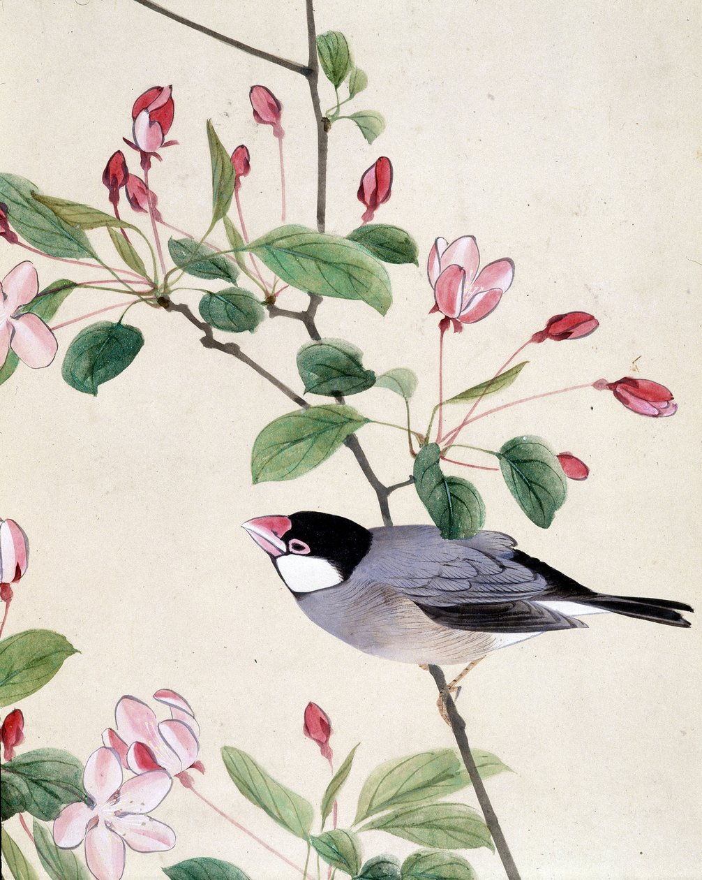 Vogel - Japanse tekening door Riou Chim, eind 19e eeuw door Riu Chim