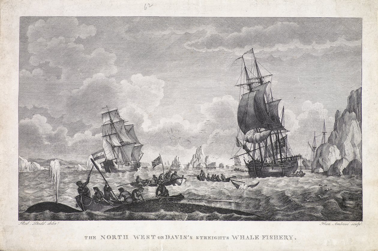 De Noordwest of Davis Straat Walvisvangst (prent) door Robert (after) Dodd