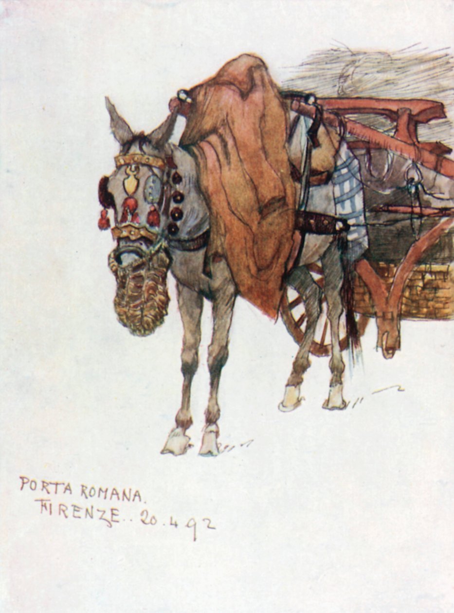 Studie van een ezel met versierd tuig (kleurenlitho) door Robert Charles Goff