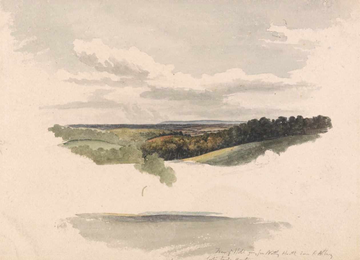 Tussen Netley Heath en Albury door Robert Hills