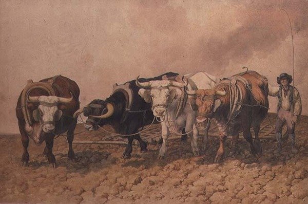 Eggen door Robert Hills
