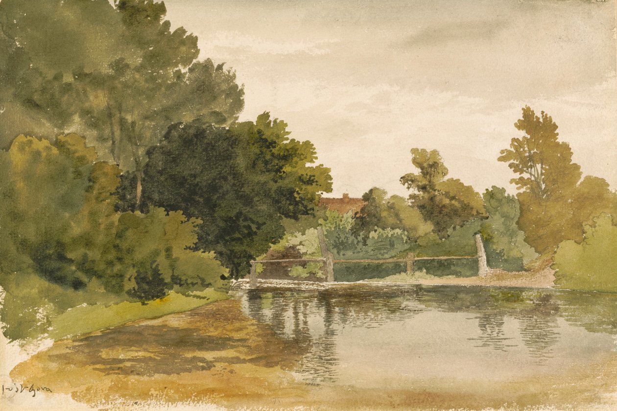 Weerspiegelingen in een bewoald meertje door Robert Hills