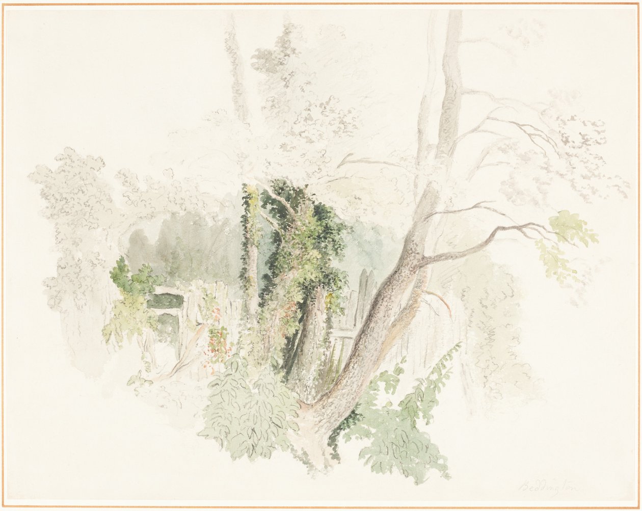 Bomen in Beddington door Robert Hills