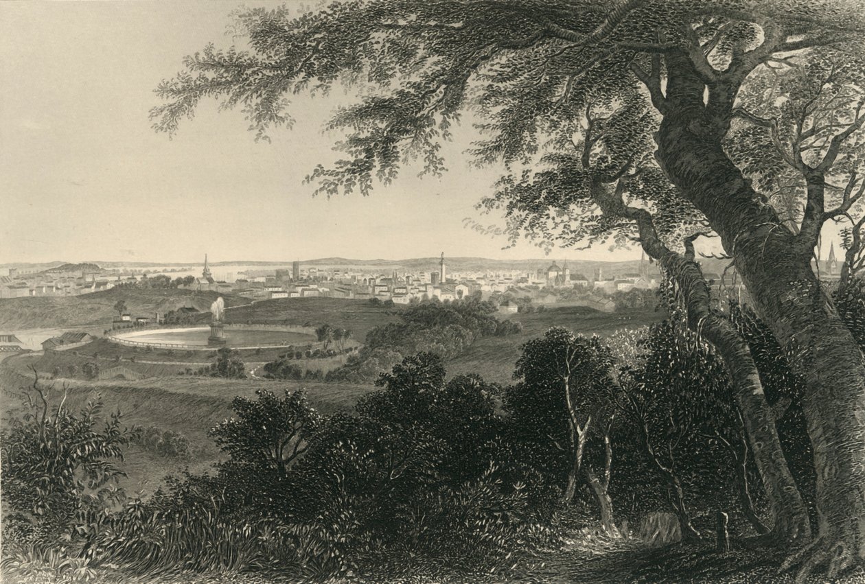 Stad Baltimore, vanuit Druid Hill Park door Robert Hinshelwood