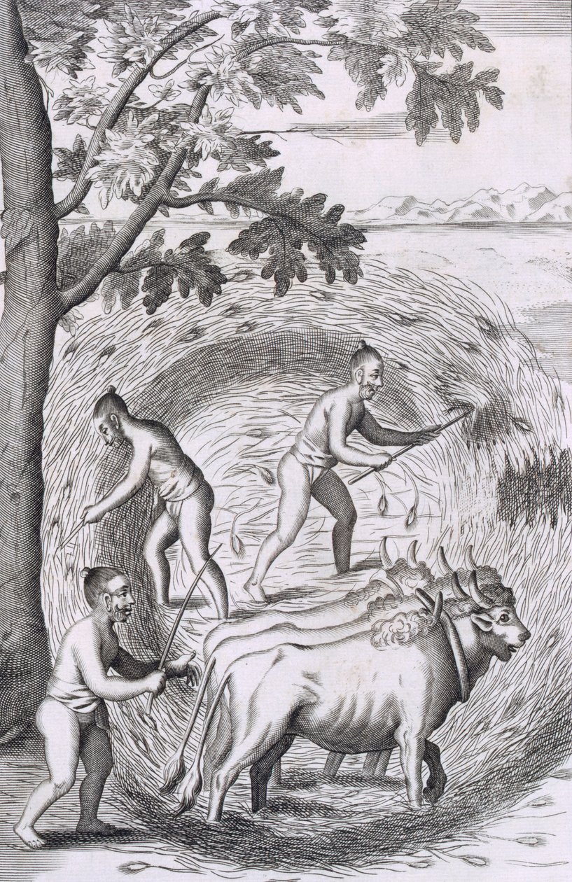 De manier van het uitstampen van hun rijst, uit Een Historische Relatie van het Eiland Ceylon, uitgegeven 1681 gravure door Robert Knox
