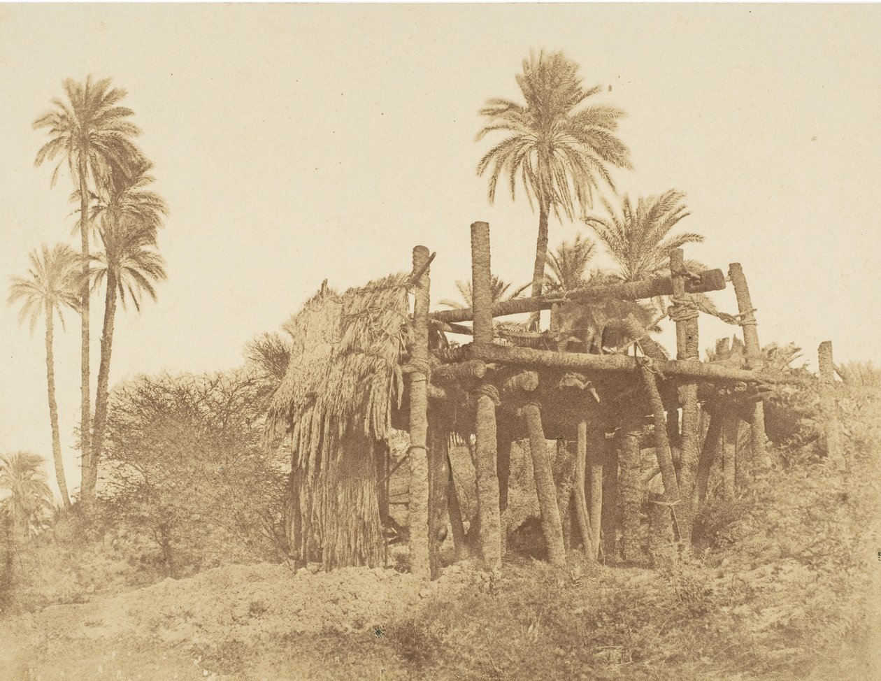 Nubische Sakkieh, of waterrad, ca. 1856 door Robert Murray.