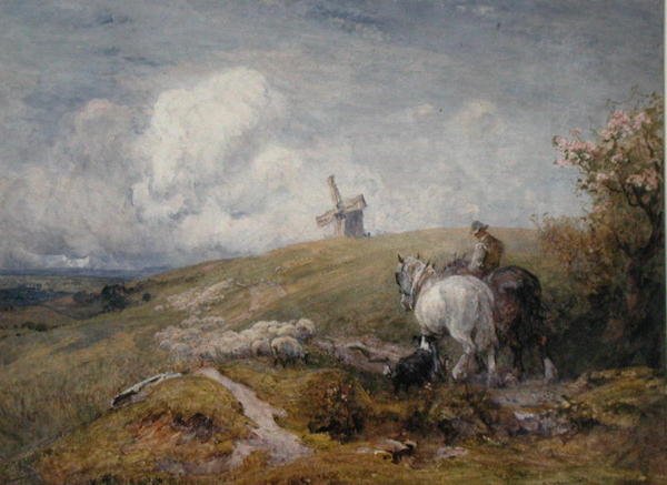 Schapen drijven op de South Downs door Robert Thorne Waite