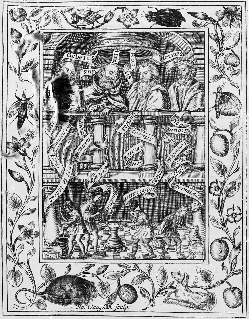 Grote alchemisten inspireren werk in het laboratorium uit Theatrum Chemicum Britannicum, 1652 door Robert Vaughan
