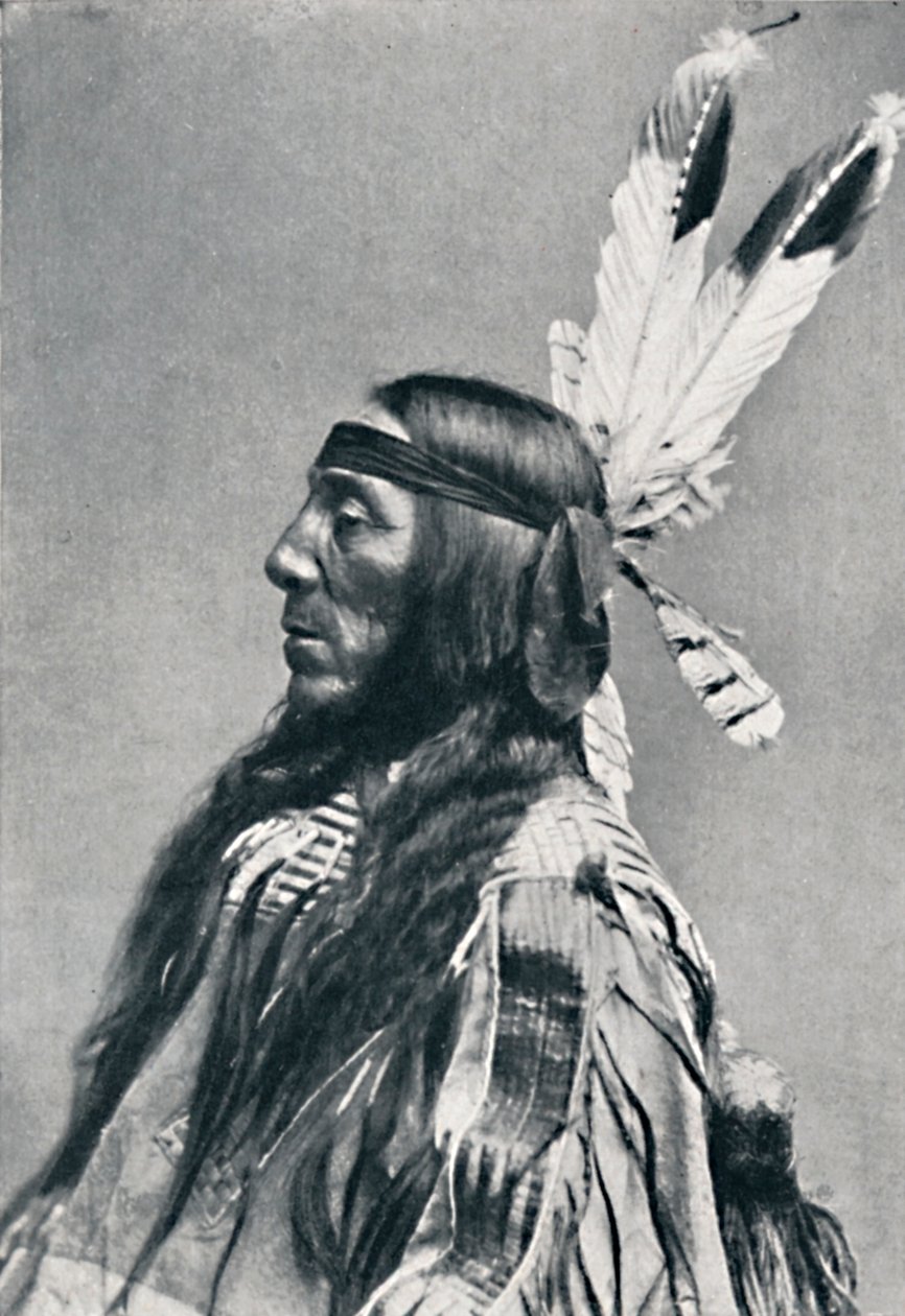 Profielaanzicht van een Sioux, 1912 door Robert Wilson Shufeldt