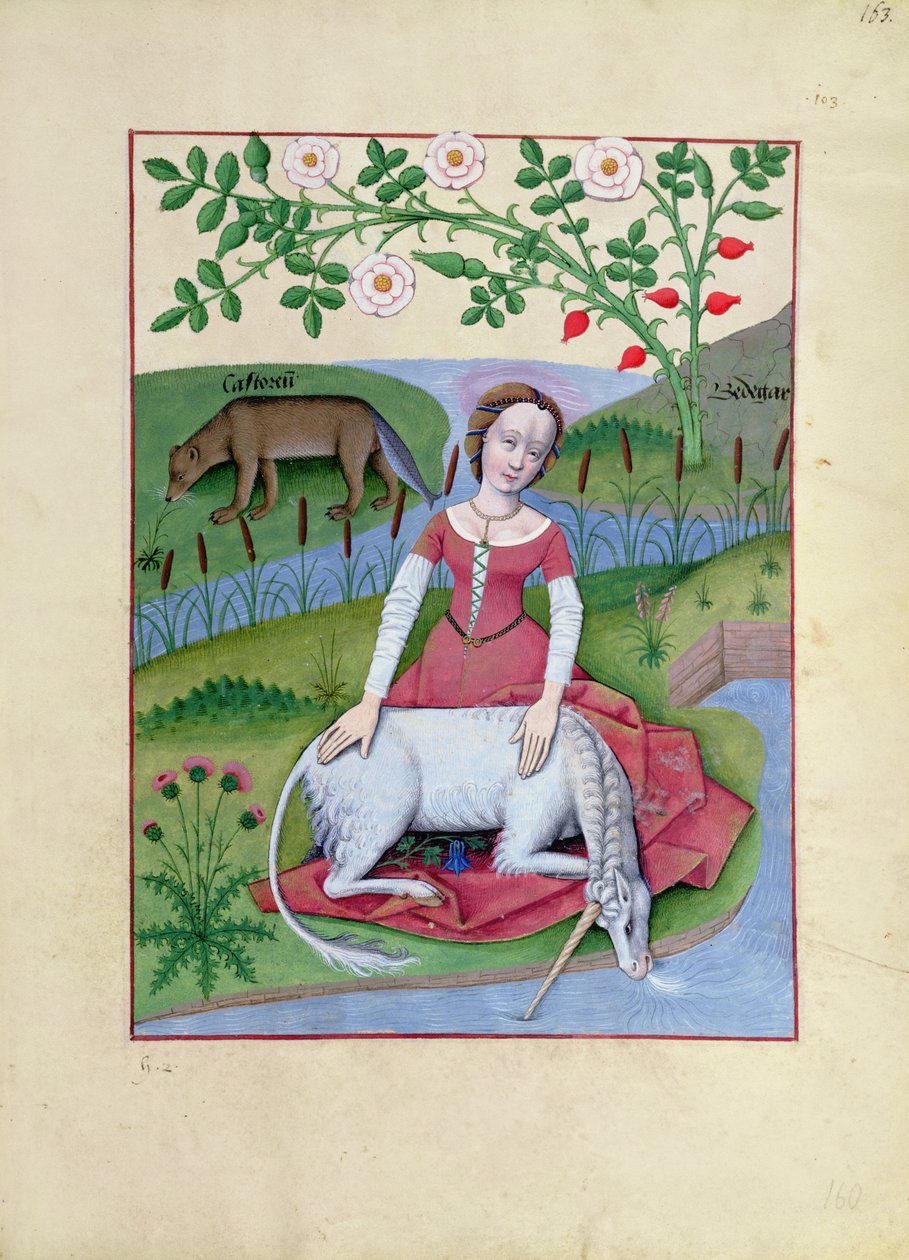 Ms Fr. Fv VI fol.163r Illustratie uit het Boek der Eenvoudige Geneesmiddelen door Mattheaus Platearius door Robinet Testard