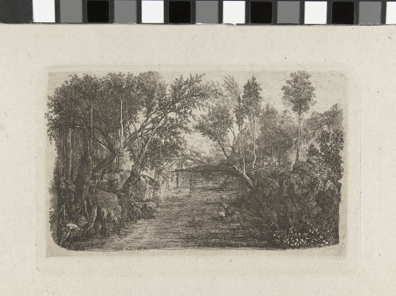 Landschap met beek en bomen op oevers door Rodolphe Bresdin