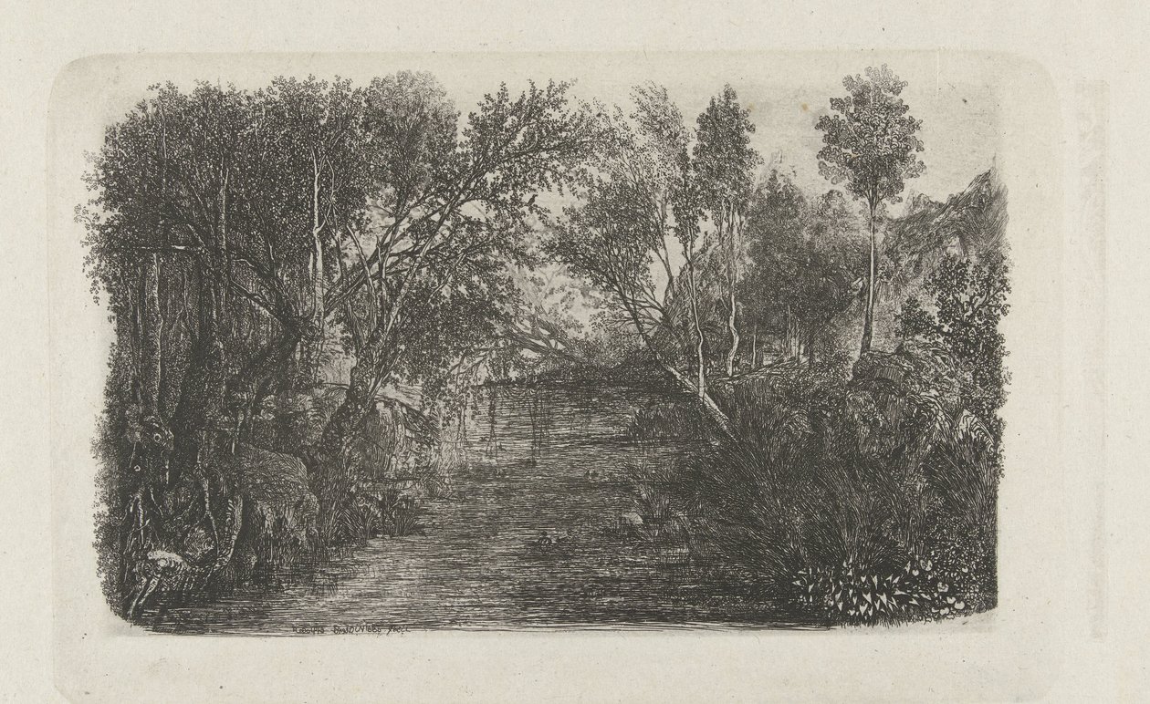 Landschap met beek en bomen op oevers door Rodolphe Bresdin