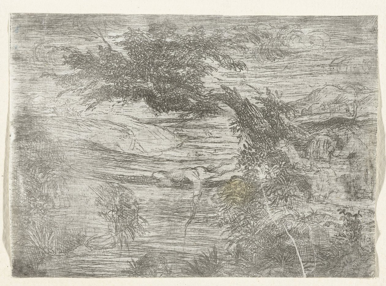 Landschap met visser door Rodolphe Bresdin