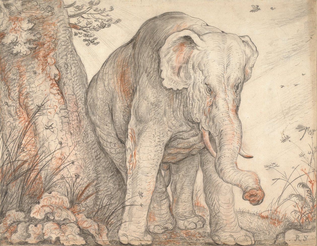 Een olifant die zich tegen een boom wrijft, ca. 1608-1612 door Roelant Saverij