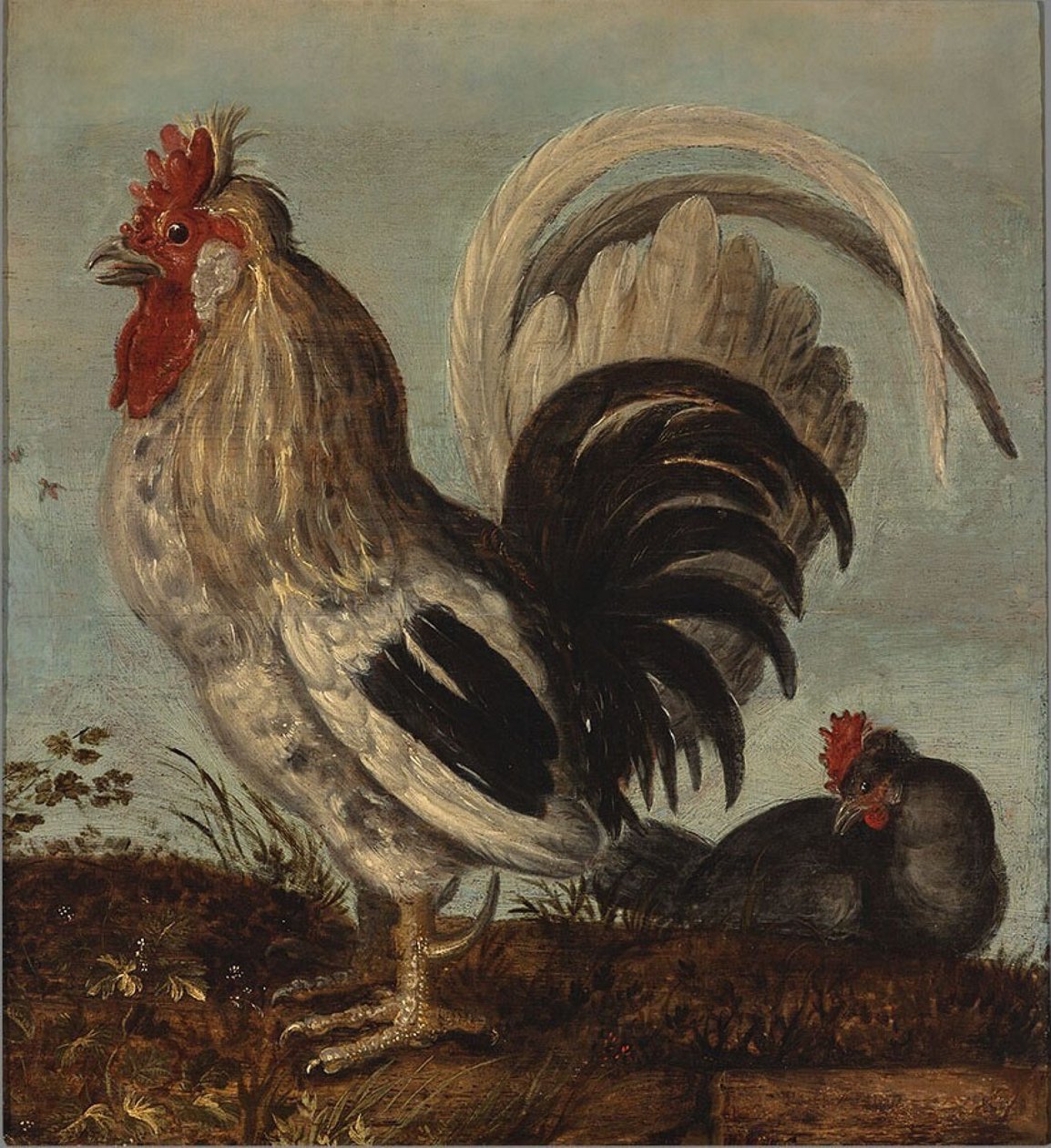 Een haantje door Roelandt Jacobsz. Savery