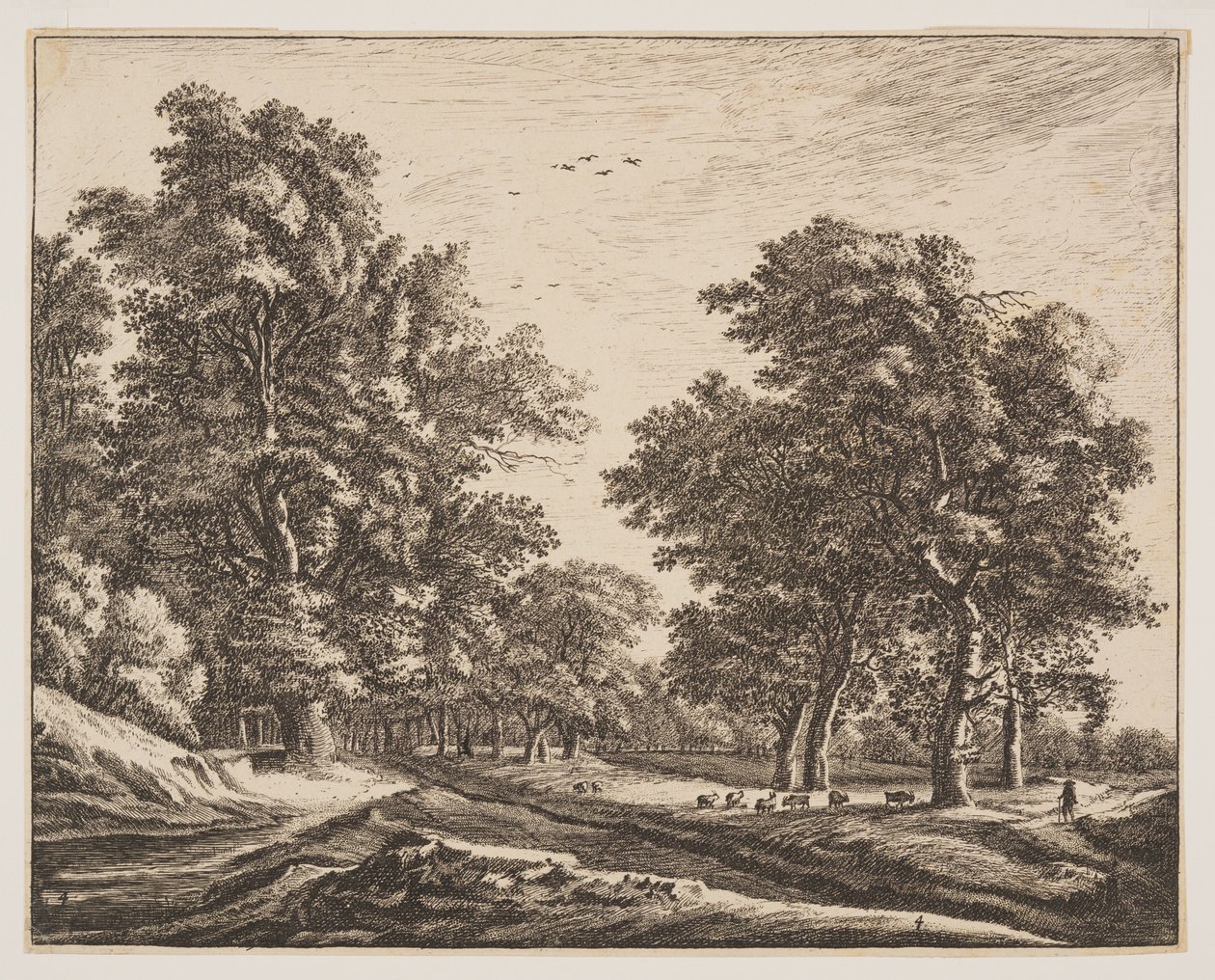 Nr. 4, uit Zes vergezichten in het Haagse bos door Roelant Roghman