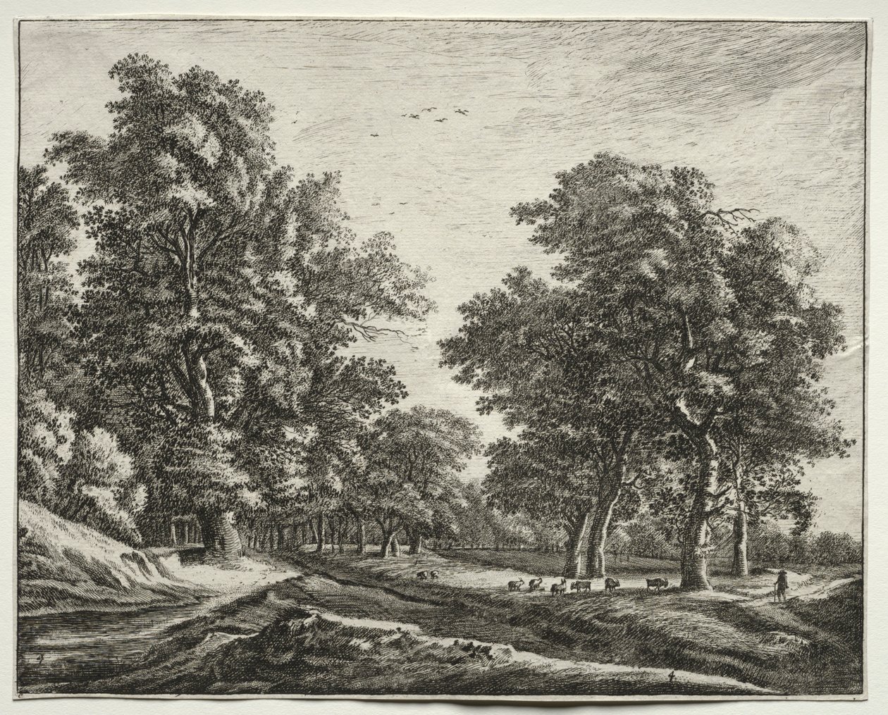 Zes uitzichten in het bos van Den Haag: geiten onder de bomen door Roelant Roghman