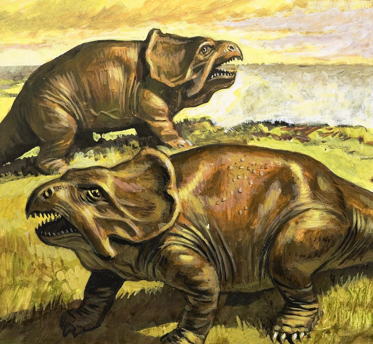 Protoceratops, illustratie uit 