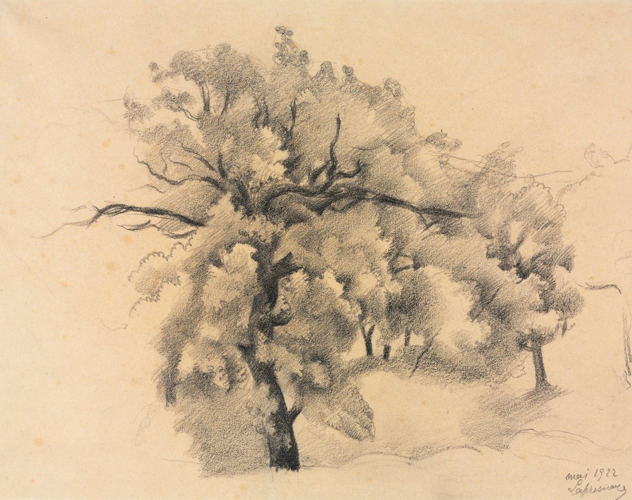 Studie van Bomen door Roger de La Fresnaye