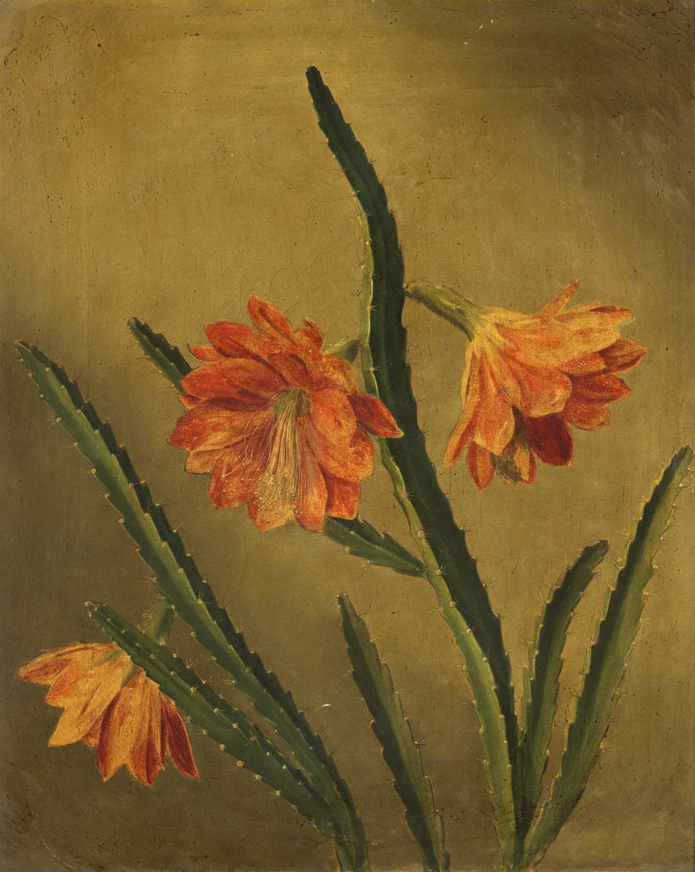 Studie van bloemen door Rolinda Sharples