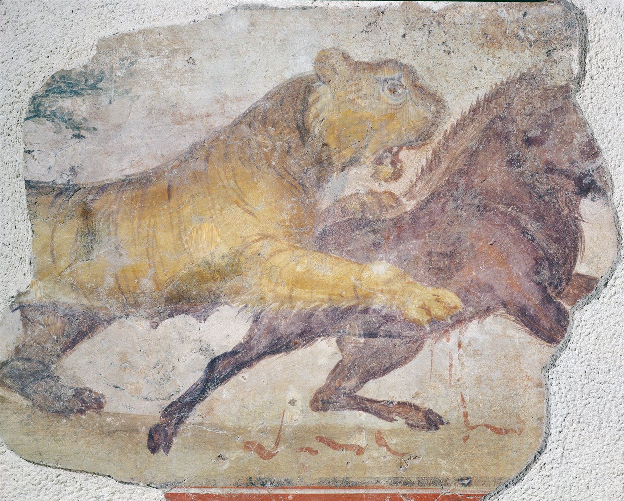 Een tijger die een wild zwijn aanvalt, uit het Merida Amfitheater door Roman