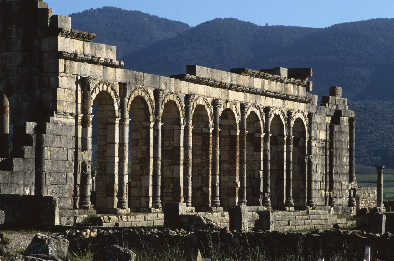 Basiliek door Roman