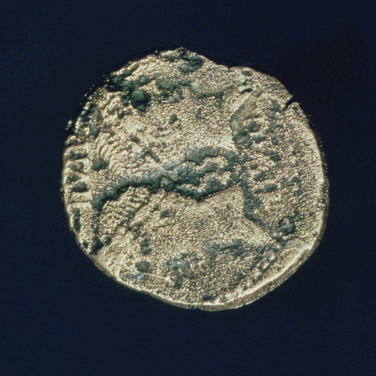 Munt met hoofden van Julius Caesar en Augustus door Roman