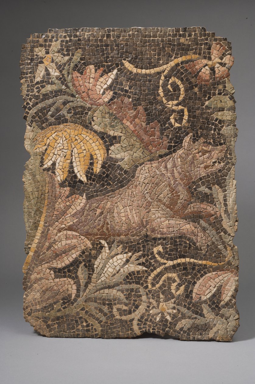 Fragment van een mozaïek dat een wolf afbeeldt door Roman