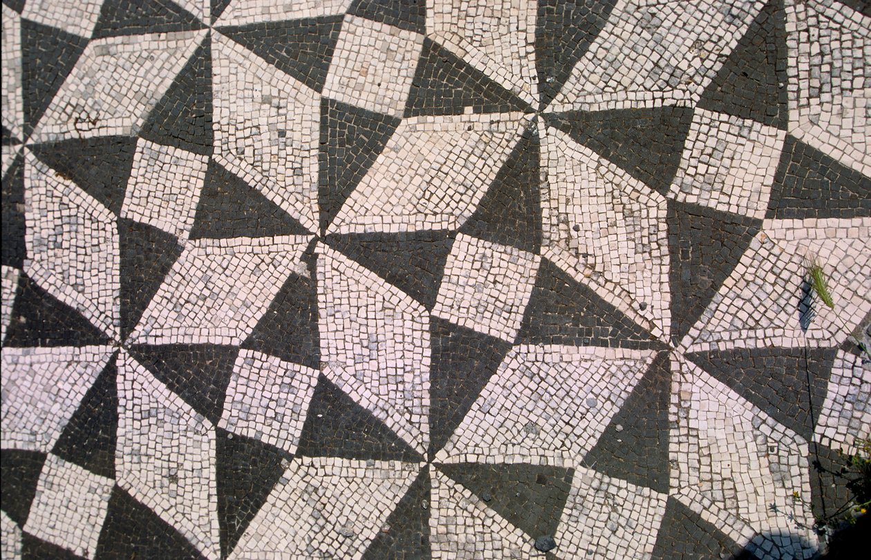 Patroonvloer (mozaïek) door Roman
