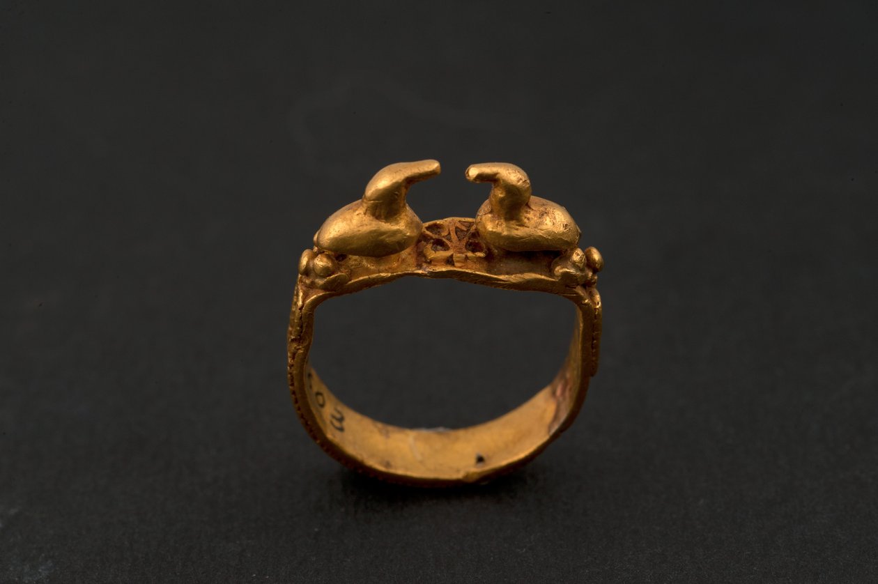 Ring met twee eenden (goud) door Roman