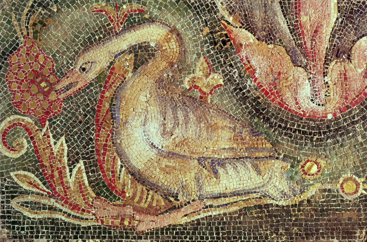 Zwaan, gerestaureerd door Roman