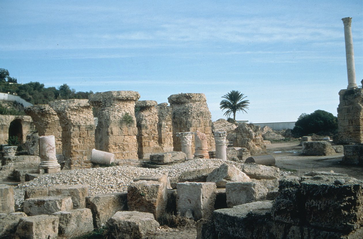 Uitzicht op ruïnes door Roman