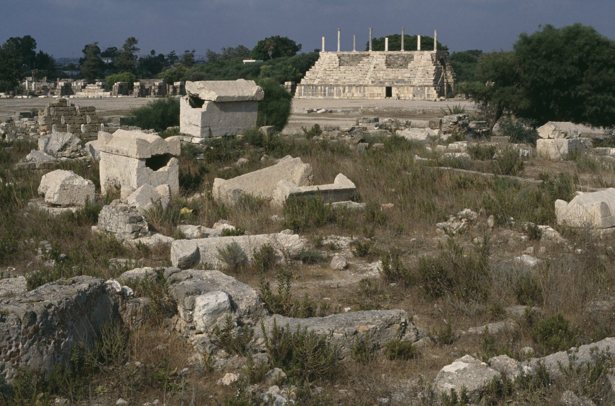 Uitzicht op de Romeinse begraafplaats en de renbaan door Roman