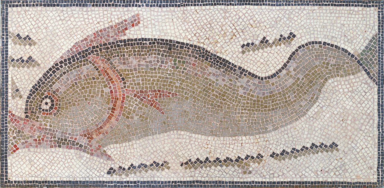 Dolfijn, uit Tunis, 3e-5e eeuw na Christus (mozaïek) door Roman Roman